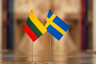 Seimo nariai Žygimantas Pavilionis ir Laurynas Kasčiūnas dalyvavo Visbio konferencijoje Gotlande