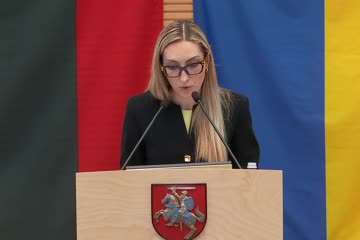 Seimo posėdis (vakarinis)