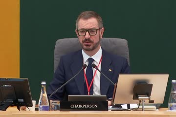 NATO PA Demokratijos ir saugumo komiteto (CSD) posėdis