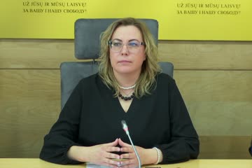 Seimo narės Jurgitos Sejonienės spaudos konferencija „10 mėnesių laukimas gali kainuoti gyvybę“