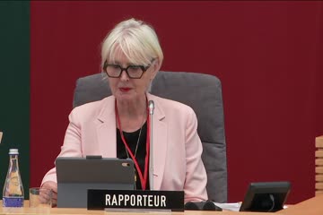 NATO PA Ekonomikos ir saugumo (ESC) komiteto posėdis