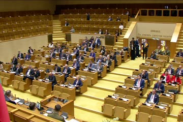 NATO PA Gynybos ir saugumo (DSC) komiteto posėdis